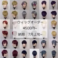 2026年最新】ウィッグ オーダーの人気アイテム - メルカリ